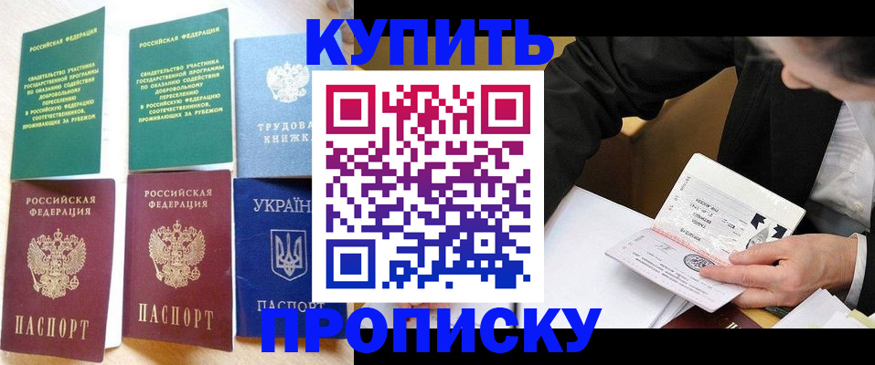 прописка для школы в Новоалтайске